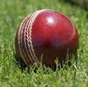 palla di cricket